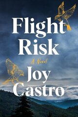 Flight Risk: A Novel цена и информация | Фантастика, фэнтези | kaup24.ee