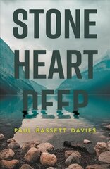 Stone Heart Deep цена и информация | Фантастика, фэнтези | kaup24.ee