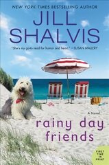 Rainy Day Friends: A Novel цена и информация | Фантастика, фэнтези | kaup24.ee