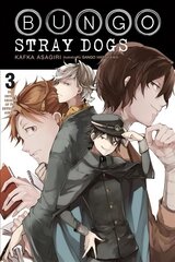 Bungo Stray Dogs, Vol. 3 (light novel) цена и информация | Книги для подростков и молодежи | kaup24.ee