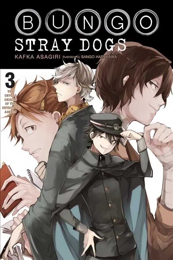 Bungo Stray Dogs, Vol. 3 (light novel) hind ja info | Noortekirjandus | kaup24.ee