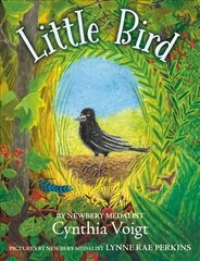 Little Bird цена и информация | Книги для подростков и молодежи | kaup24.ee