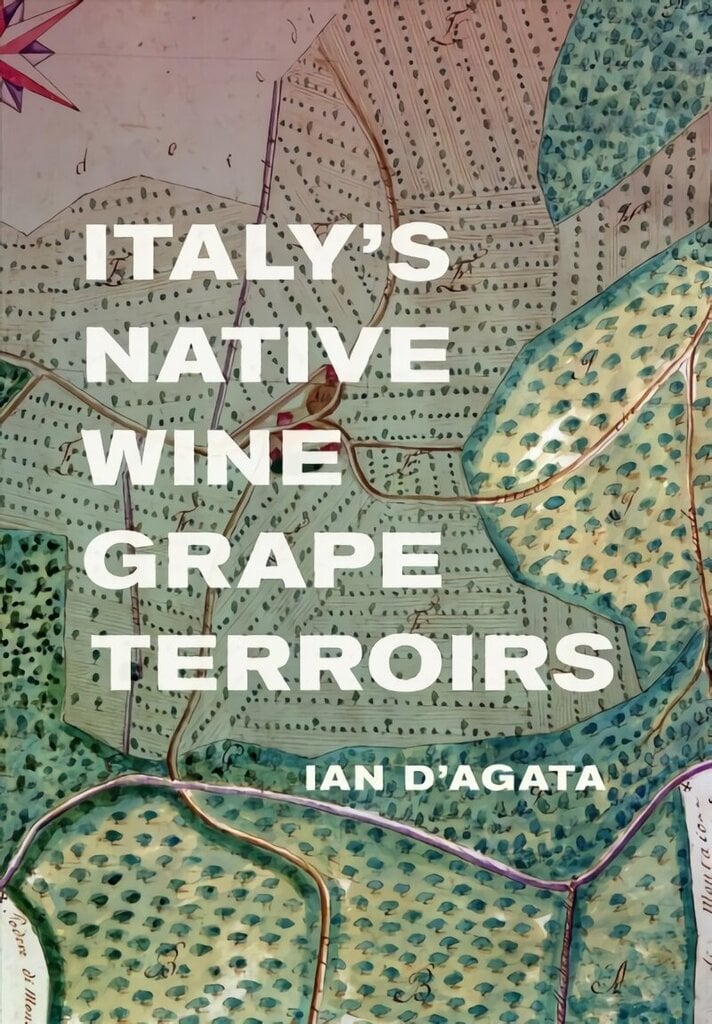 Italy's Native Wine Grape Terroirs hind ja info | Retseptiraamatud  | kaup24.ee