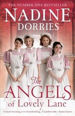 Angels Of Lovely Lane цена и информация | Фантастика, фэнтези | kaup24.ee