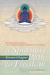 Spacious Path to Freedom: Practical Instructions on the Union of Mahamudra and Atiyoga цена и информация | Духовная литература | kaup24.ee