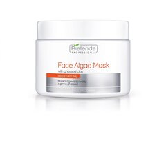 Маска для лица Bielenda Professional Face Algae Mask With Ghassoul Clay, 200 г цена и информация | Bielenda Духи, косметика | kaup24.ee