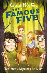 Famous Five: Five Have A Mystery To Solve: Book 20 цена и информация | Книги для подростков и молодежи | kaup24.ee