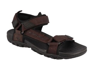 Мужские сандалии Tom Tailor, коричневый цвет цена и информация | Мужские шлепанцы, босоножки | kaup24.ee