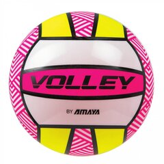 Kaunistatud rannavõrkpalli pall, läbimõõt 21 cm hind ja info | Võrkpalli pallid | kaup24.ee