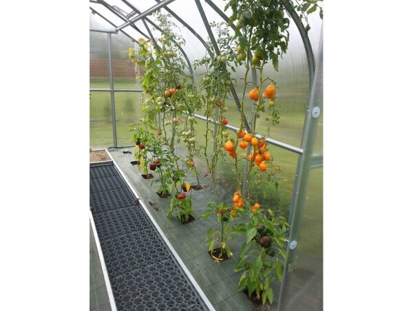 Taimede sidumiskomplekt kasvuhoonetele 12m; hind ja info | Kasvuhooned | kaup24.ee
