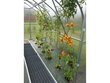 Taimede sidumiskomplekt kasvuhoonetele 2m; цена и информация | Kasvuhooned | kaup24.ee