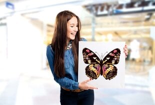 Pilt Pruun liblikas, 30x30 cm. hind ja info | Seinapildid | kaup24.ee