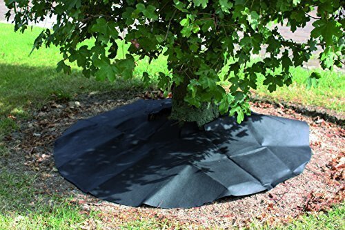 Must polüetüleenkile BLACK COVER 2,00 x 10m hind ja info | Aiatööriistad | kaup24.ee