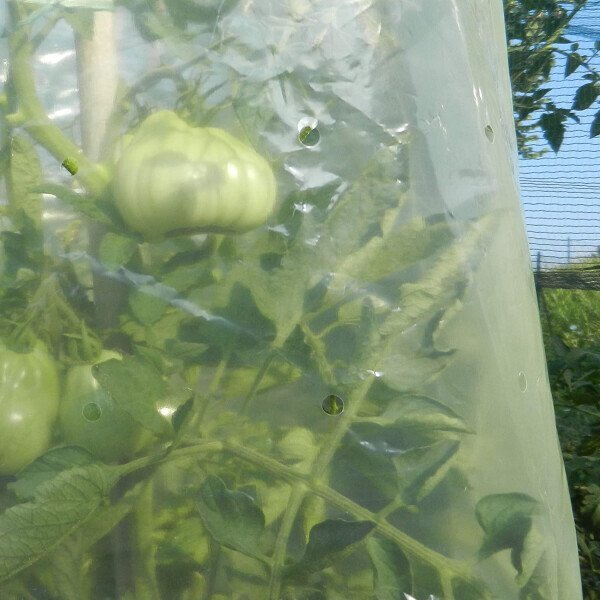 MR. TOMATO 0,60 x 10m hind ja info | Aiatööriistad | kaup24.ee