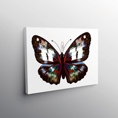 Pilt Müstiline liblikas, 30x30 cm. hind ja info | Seinapildid | kaup24.ee