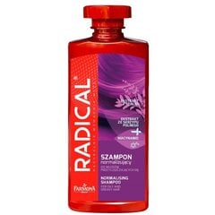 Taimsete ekstraktidega šampoon Farmona Radical 400 ml цена и информация | Шампуни | kaup24.ee