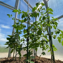 Tugipost taimedele, sirge 150cm / 11mm hind ja info | Kasvuhooned | kaup24.ee