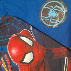 Laste pidžaama Spiderman цена и информация | Пижамы, халаты для мальчиков | kaup24.ee