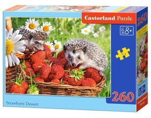 Пазл Strawberry Dessert Castorland, 260 шт цена и информация | Пазлы | kaup24.ee