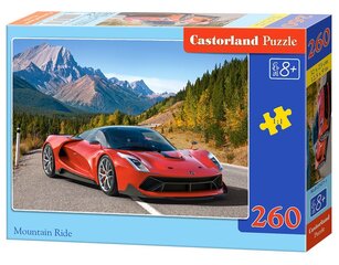 Pusle Castorland Mountain Ride, 260-osaline hind ja info | Pusled | kaup24.ee