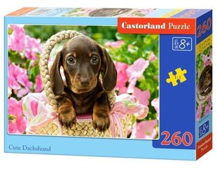 Pusle Castorland Cute Dachshund, 260-osaline цена и информация | Пазлы | kaup24.ee