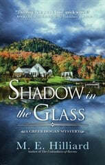 Shadow In The Glass цена и информация | Фантастика, фэнтези | kaup24.ee