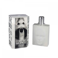 Omerta Code Of Silence Silver Pour Femme EDP для женщин 100 ml цена и информация | Женские духи | kaup24.ee