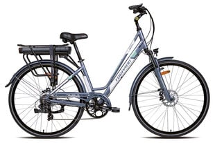 Электрический велосипед Torpado Iris T240, синий цвет цена и информация | Электровелосипеды | kaup24.ee