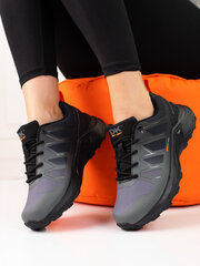 Женские серые треккинговые ботинки DK Softshell цена и информация | Спортивная обувь, кроссовки для женщин | kaup24.ee