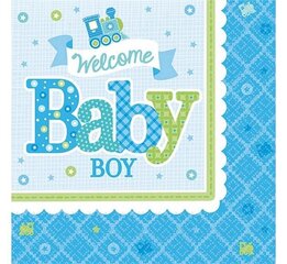 Салфетки «Welcome Little One - Boy», 33x33 см, 20 шт, 501461 цена и информация | Праздничная одноразовая посуда | kaup24.ee