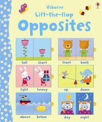 Lift-the-flap Opposites hind ja info | Väikelaste raamatud | kaup24.ee