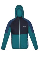 Мужской джемпер Regatta RML232N1TATTARE-XXL, зеленый цена и информация | Мужские толстовки | kaup24.ee