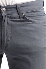 Джинсы мужские BLK Jeans 8252198216202-31/34, серые цена и информация | Мужские джинсы | kaup24.ee