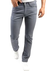 Джинсы мужские BLK Jeans 8252198216202-31/34, серые цена и информация | Мужские джинсы | kaup24.ee