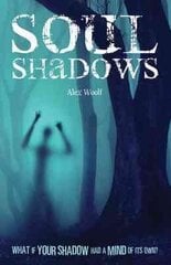 Soul Shadows цена и информация | Книги для подростков и молодежи | kaup24.ee