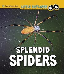 Splendid Spiders hind ja info | Noortekirjandus | kaup24.ee