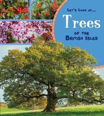 Trees of the British Isles цена и информация | Книги для подростков и молодежи | kaup24.ee