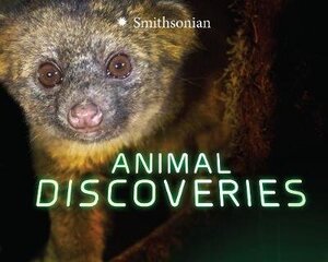 Animal Discoveries цена и информация | Книги для подростков и молодежи | kaup24.ee