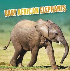 Baby African Elephants цена и информация | Книги для подростков и молодежи | kaup24.ee