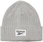 Reebok Mütsid Te Beanie Hall GH0432 GH0432/OSFM hind ja info | Meeste sallid, mütsid ja kindad | kaup24.ee