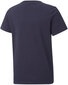 Puma T-Särgid Active Sports Graphic Tee 846993 06 846993 06/164 цена и информация | Poiste särgid | kaup24.ee