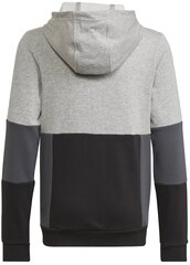 Джемпер Adidas U Cb Hoodie Grey HN8564 HN8564/176 цена и информация | Свитеры, жилетки, пиджаки для мальчиков | kaup24.ee