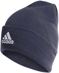 Шапка Adidas Logo Beanie Blue HL4809 HL4809/OSFM цена и информация | Мужские шарфы, шапки, перчатки | kaup24.ee