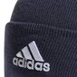 Adidas Mütsid Logo Beanie Blue HL4809 HL4809/OSFM цена и информация | Meeste sallid, mütsid ja kindad | kaup24.ee