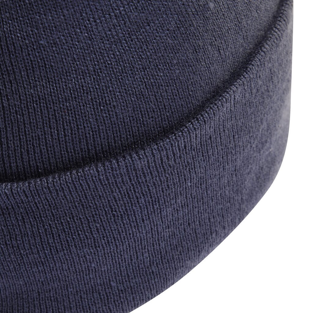 Adidas Mütsid Logo Beanie Blue HL4809 HL4809/OSFM hind ja info | Meeste sallid, mütsid ja kindad | kaup24.ee