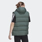 Adidas Vestid Helionic Vest Green HG6274 hind ja info | Meeste vestid | kaup24.ee