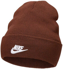 Шапка Nike U Nsw Beanie Utility Futura Brown DJ6224 259 DJ6224 259 цена и информация | Мужские шарфы, шапки, перчатки | kaup24.ee