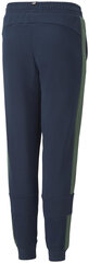 Брюки Puma Ess Block Sweatpants Blue Green 849083 73 849083 73/140 цена и информация | Шорты для мальчиков | kaup24.ee