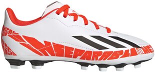 Adidas Jalatsid X Speedportal Messi. 4 FXG White GW8398 цена и информация | Футбольные бутсы | kaup24.ee