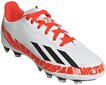 Adidas Jalatsid X Speedportal Messi. 4 FXG White GW8398 hind ja info | Jalgpallijalatsid | kaup24.ee